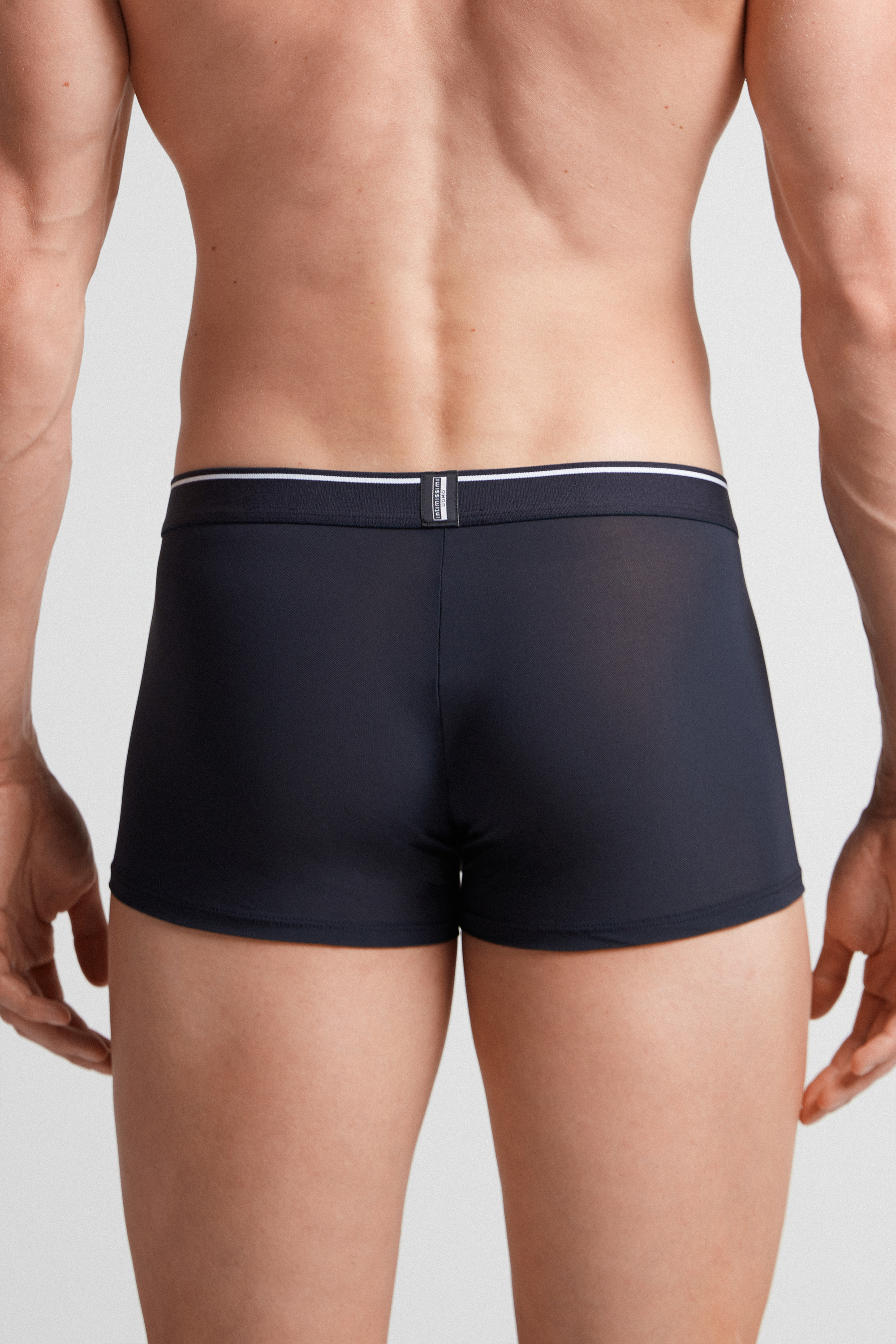 Boxer in Microrete Super Fresh