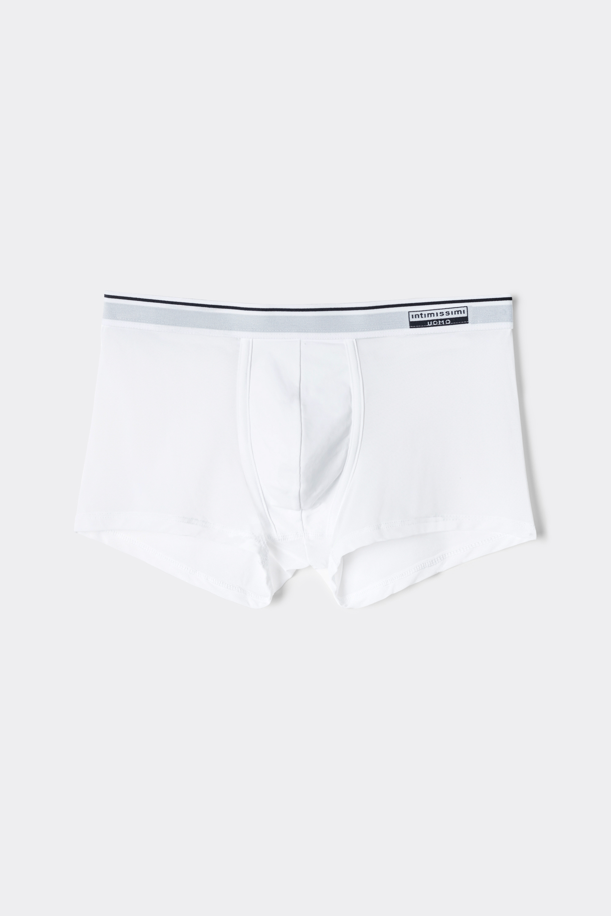 Boxer in Microrete Super Fresh