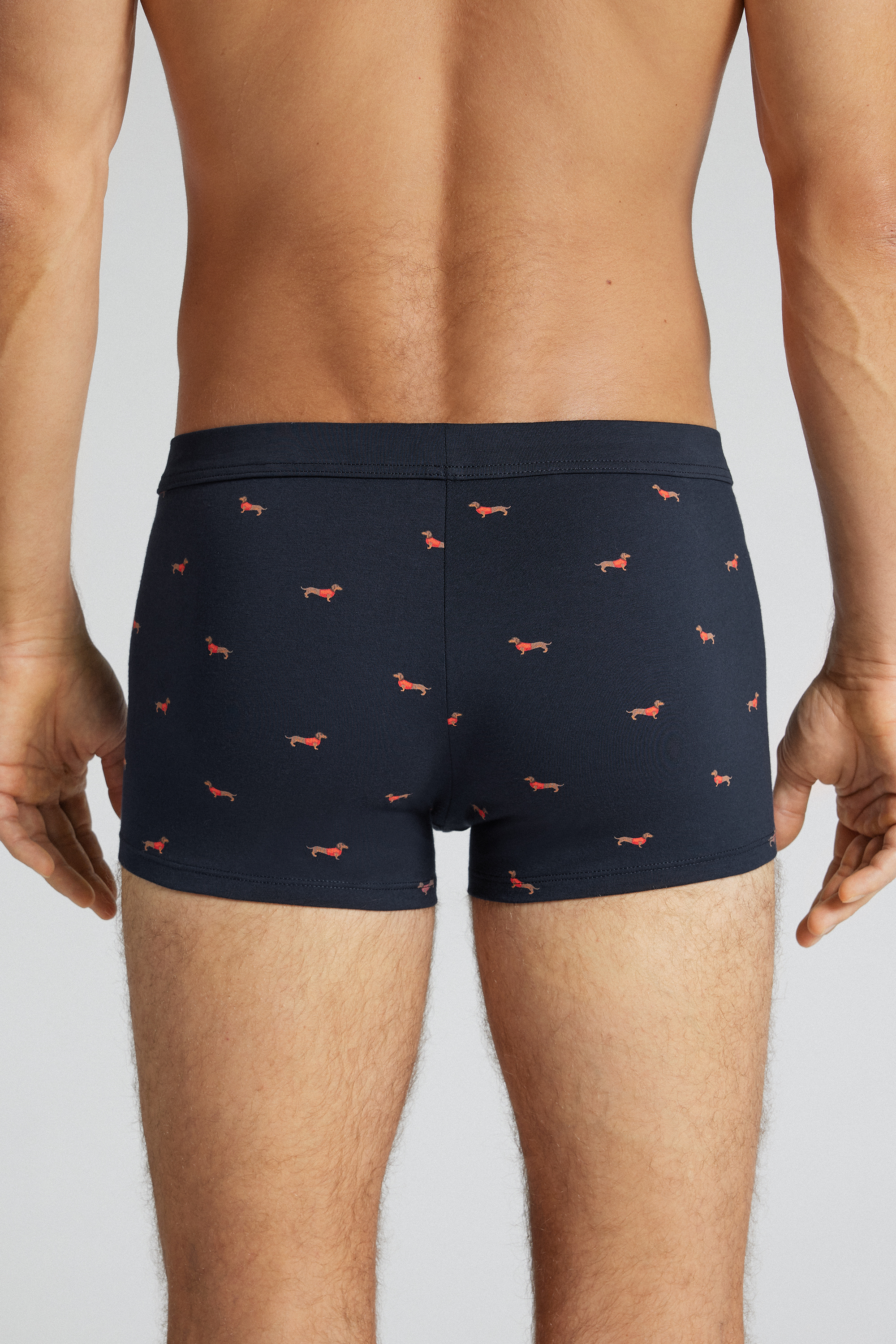 Boxer Cotone Superior Stampa Bassotto