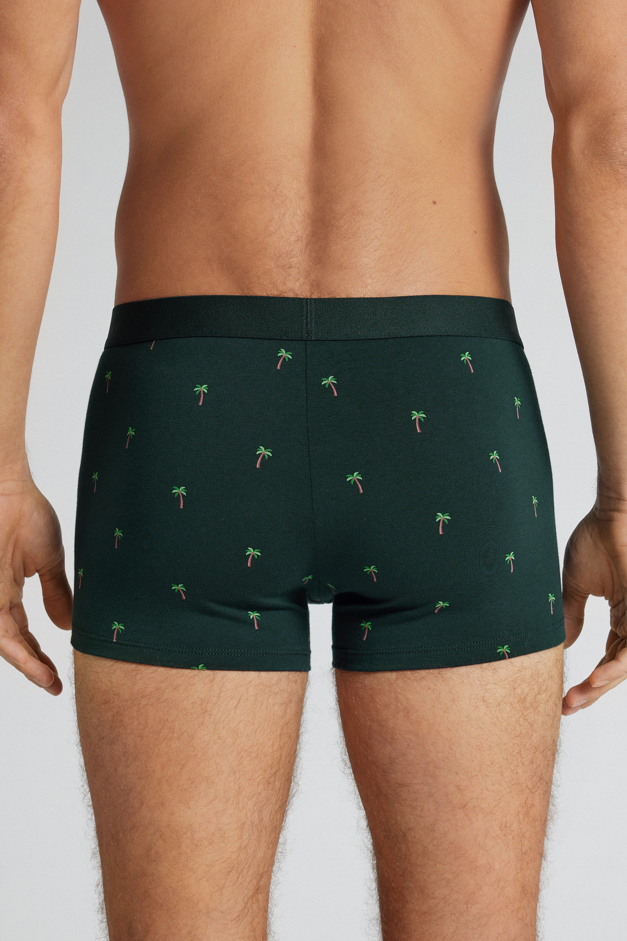 Boxer Cotone Superior Stampa Palma