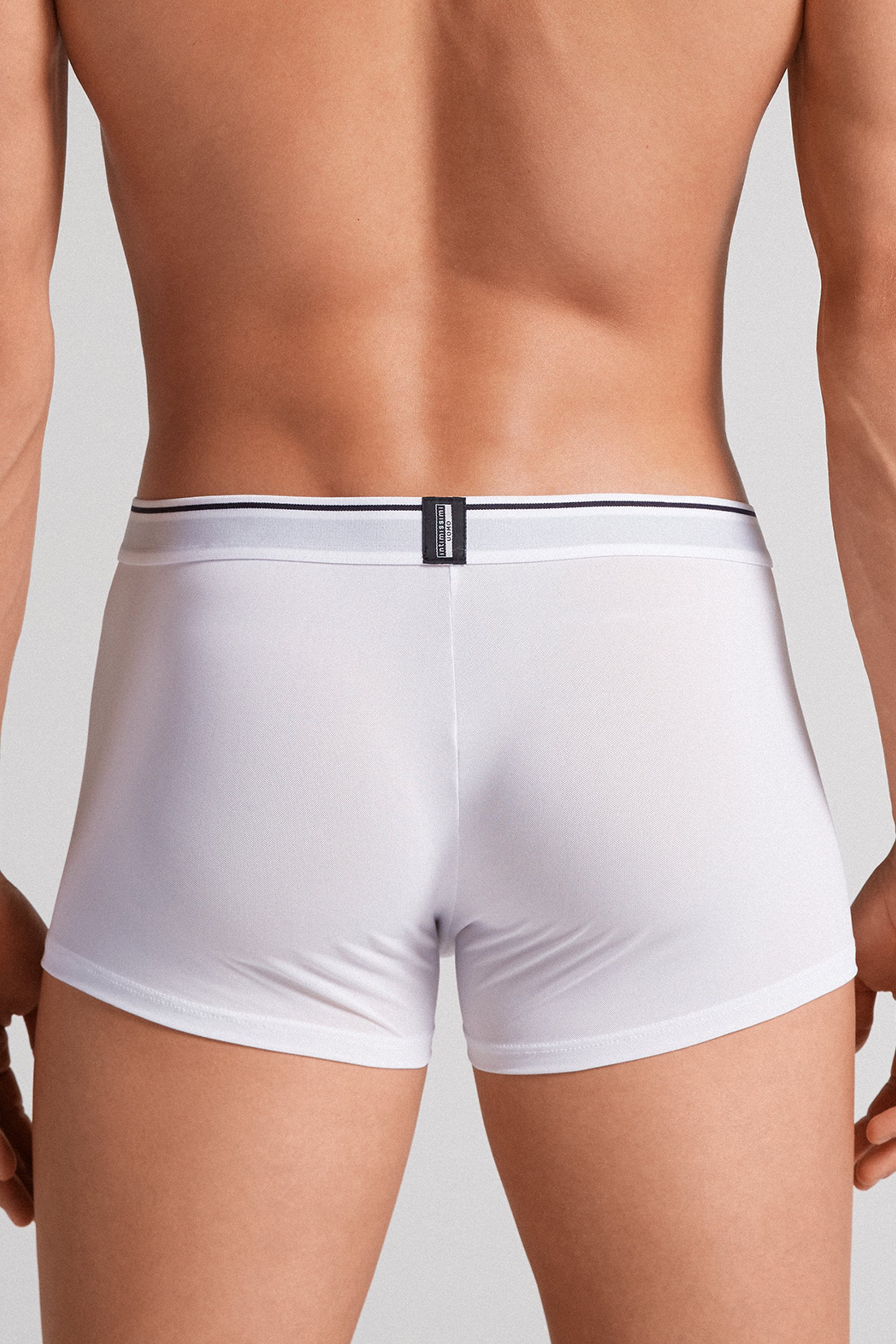 Boxer in Microrete Super Fresh
