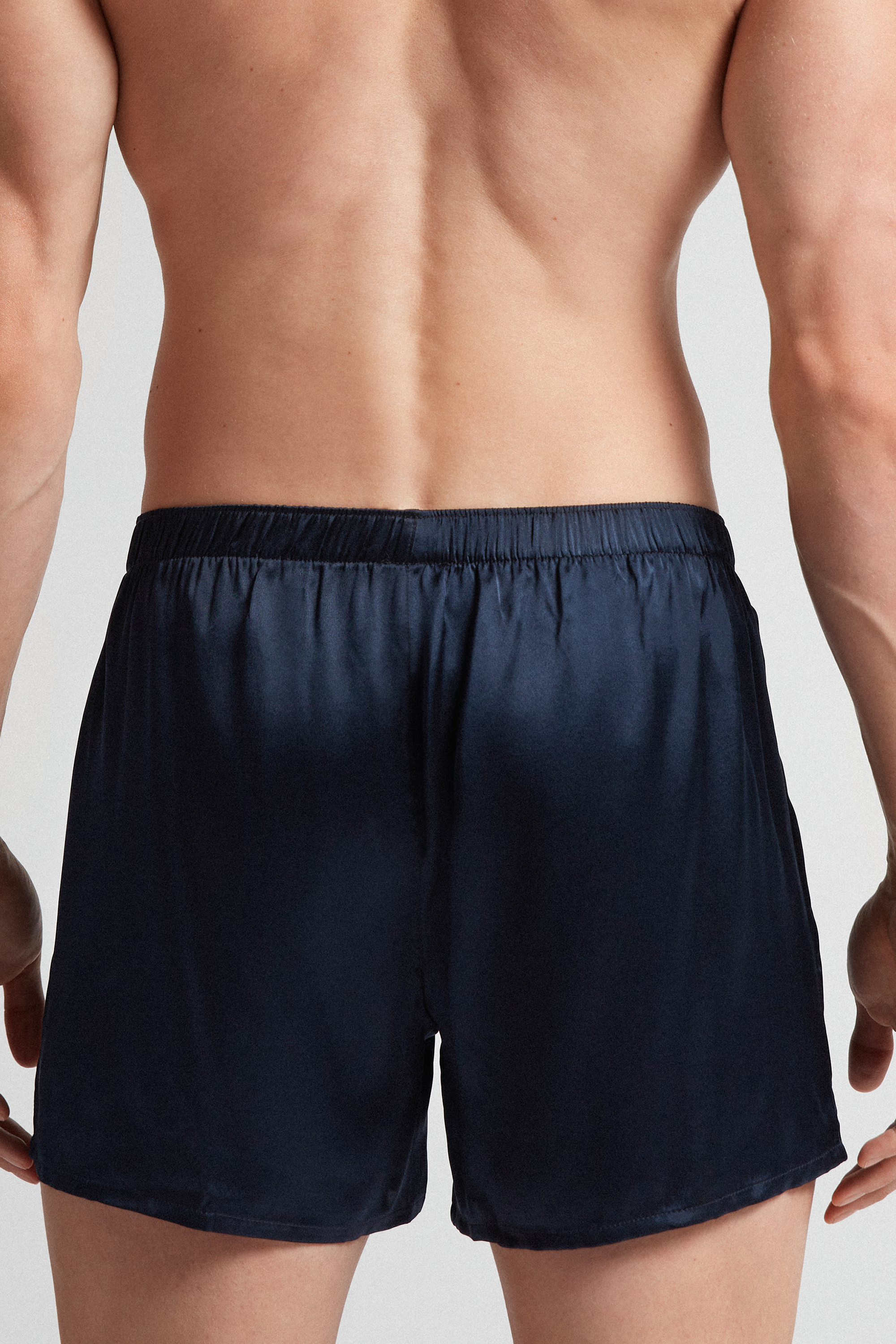 Boxer in Seta